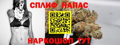 МДПВ Новозыбков