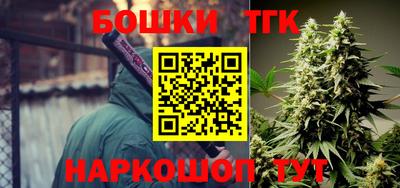 МДПВ Новозыбков