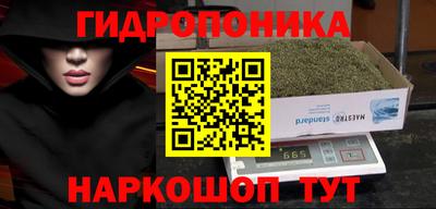 МДПВ Новозыбков