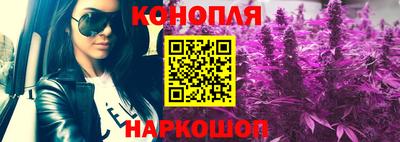 МДПВ Новозыбков