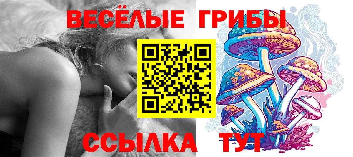 Псилоцибиновые грибы Cubensis  Вход с VPN  Пушкино  Галлюциногенные грибы Magic Shrooms 