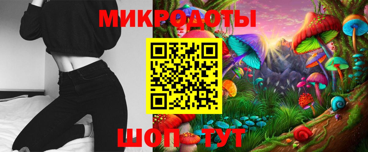 Псилоцибиновые грибы Psilocybe Пушкино